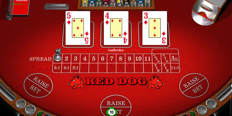 Các quy định chính trong Red Dog Poker