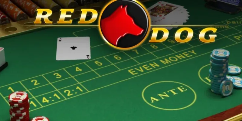 Gợi ý mẹo cược Red Dog Poker giúp hoàn thiện chiến thuật đặt cược